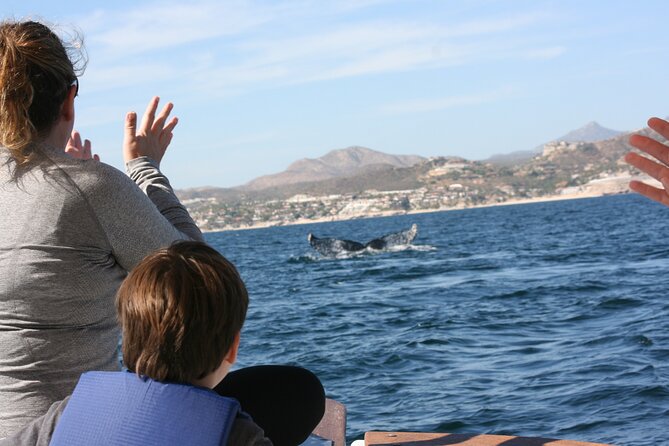 Private Whale Watching in San José del Cabo - The hydrophone and free photos that boost your value