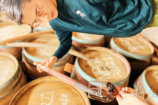 Private Wine Tour at Valle de Guadalupe (A wine tasting included). - Key things you will notice on this tour