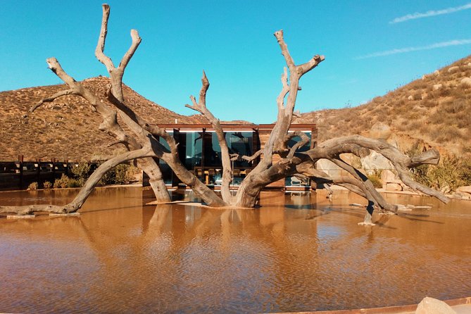 Private Wine Tour at Valle de Guadalupe (A wine tasting included). - Why a private Valle de Guadalupe day beats “try your luck”