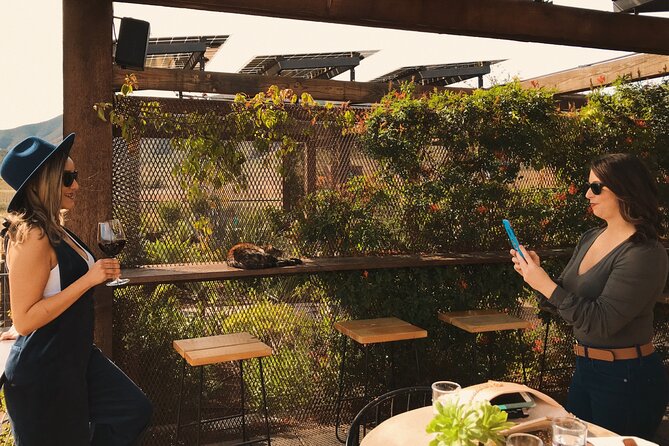 Private Wine Tour at Valle de Guadalupe (A wine tasting included). - The 7-hour flow: pickup, tastings, and a relaxed end to the day