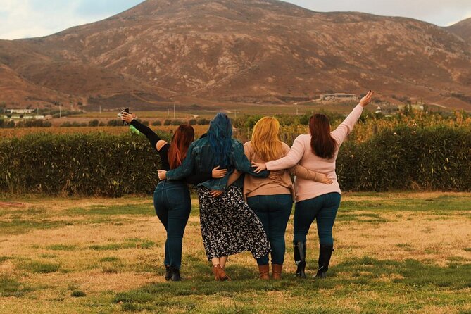 Private Wine Tour at Valle de Guadalupe (A wine tasting included). - First stop: Tres Valles tasting and why it sets the tone