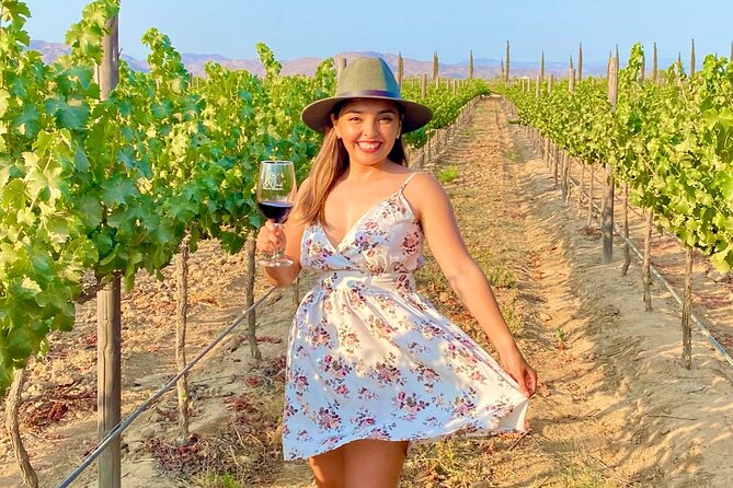Private Wine Tour at Valle de Guadalupe (A wine tasting included). - Price and what you actually get for $118.89 per person