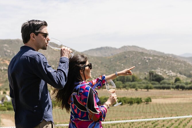 Private Wine Tour by Ansell Tours - Valle de Guadalupe, minus the self-driving headache