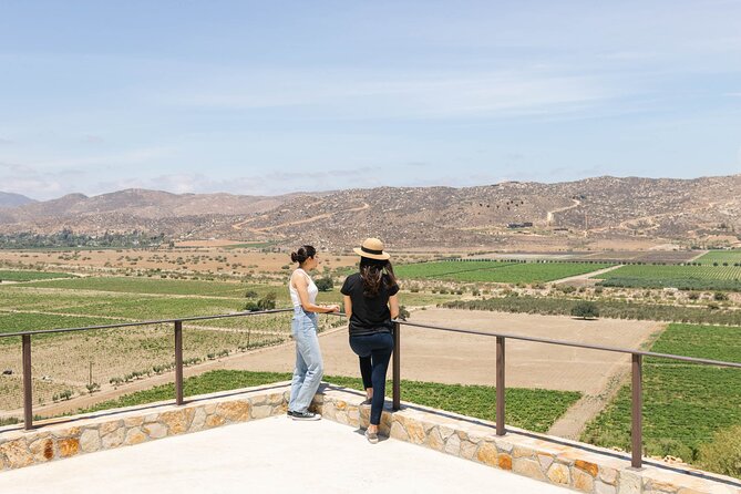 Private Wine Tour by Ansell Tours - The full itinerary: five stops, one main lunch break