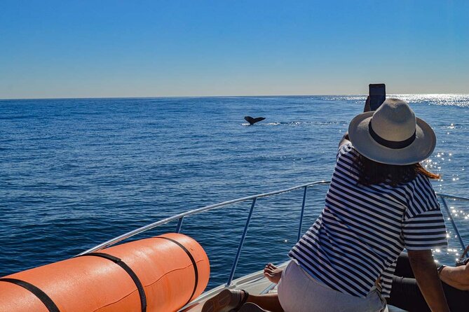 Private Yacht, Snorkeling or Sunset in Cabo San Lucas - How this 3-hour Cabo loop saves you the hassle