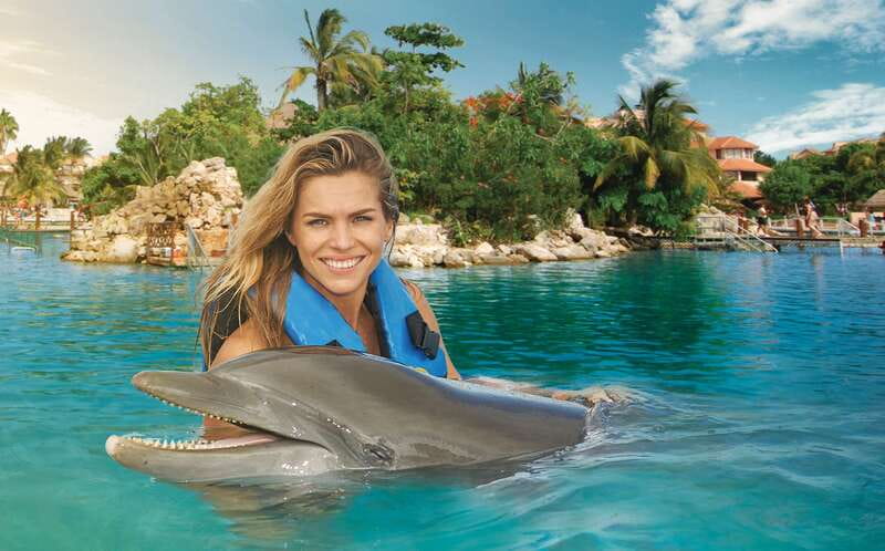 Puerto Aventuras: Dolphin Swim, Sea Lions, Manatees, & Lunch - Key highlights at Puerto Aventuras Dolphin Discovery