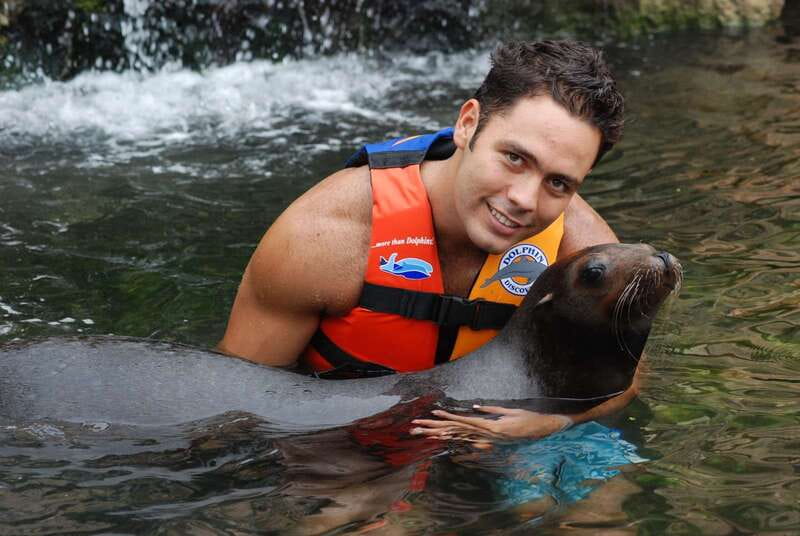 Puerto Aventuras: Dolphin Swim, Sea Lions, Manatees, & Lunch - Manatee interaction: calmer water, gentle pacing, big appeal