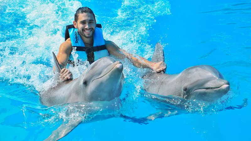 Puerto Aventuras: Dolphin Swim, Sea Lions, Manatees, & Lunch - Lunch break at the marina: included, easy, and practical