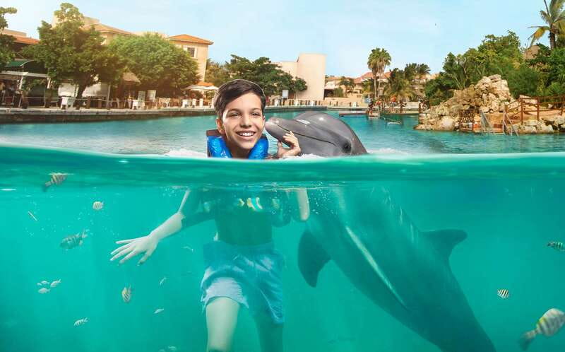 Puerto Aventuras: Dolphin Swim, Sea Lions, Manatees, & Lunch - Pricing and what $135 gets you in real terms