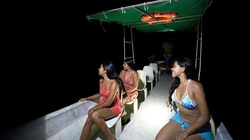 Puerto Escondido: Bioluminescence Night Spectacle - Key things you should know before booking