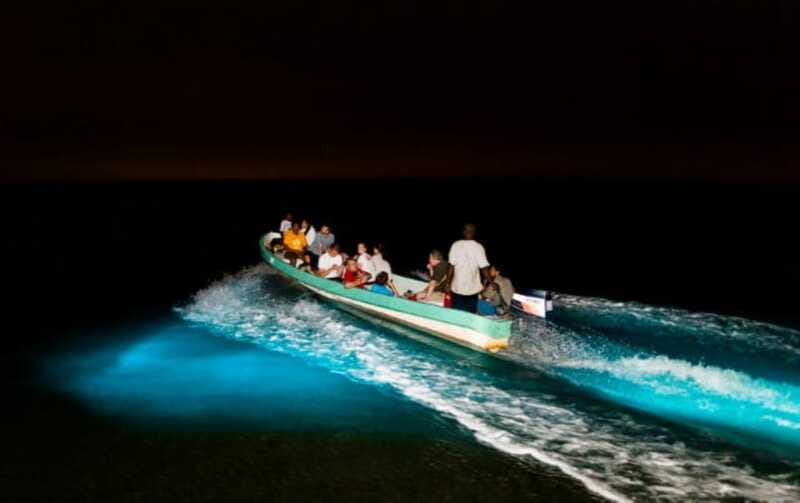 Puerto Escondido: Bioluminescence Night Spectacle - Photo reality check: why pictures may not match what you see
