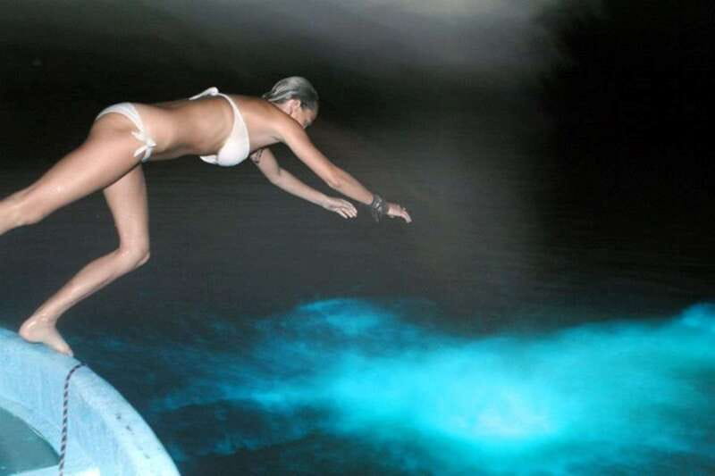Puerto Escondido: Bioluminescence Night Spectacle - Price and value: is $46 for 2.5 hours a good deal?