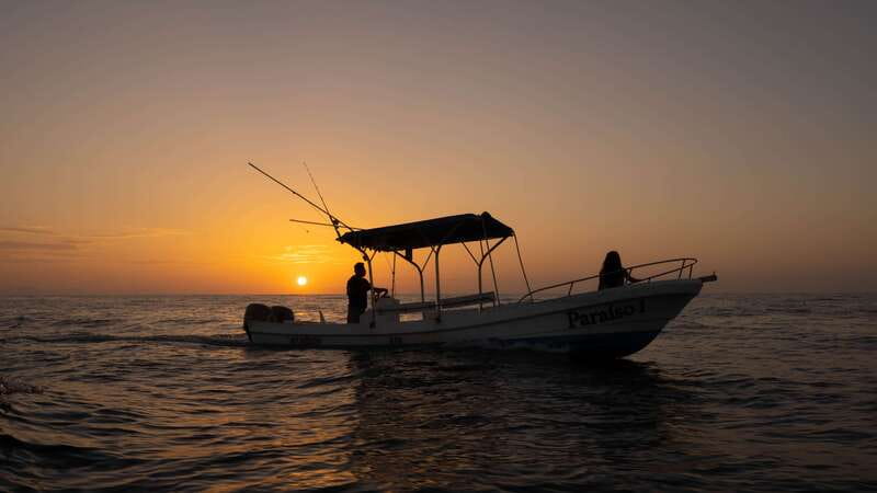 Puerto Escondido: Boat Tour among Dolphins and Turtles - Key things I think you’ll love