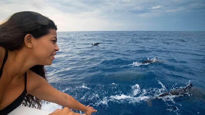 Puerto Escondido: Boat Tour among Dolphins and Turtles - Boarding, briefing, and what “sightseeing” really means