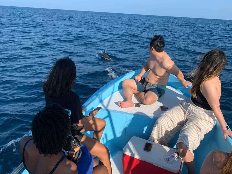 Puerto Escondido: Boat Tour to see Dolphins and Marine Life - Who should book this Puerto Angelito dolphin and snorkeling tour