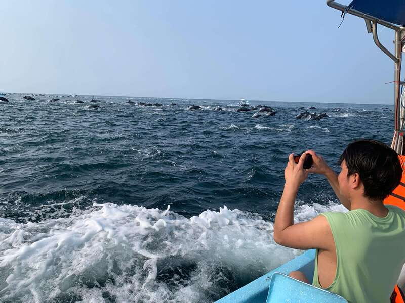 Puerto Escondido: Boat Tour to see Dolphins and Marine Life - Puerto Angelito to the water: where the tour really begins