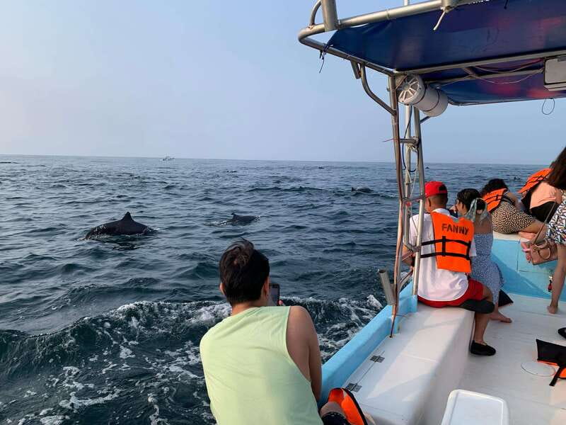 Puerto Escondido: Boat Tour to see Dolphins and Marine Life - Whale watching in winter: humpbacks from November to March