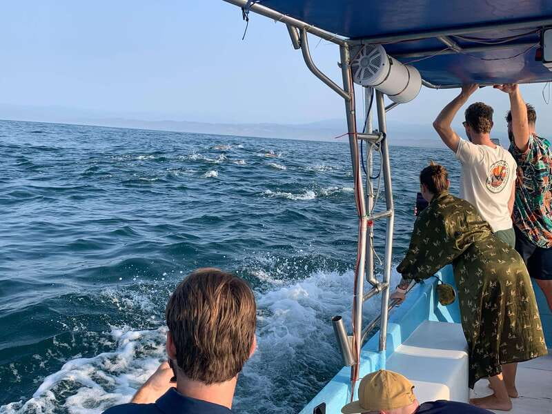 Puerto Escondido: Boat Tour to see Dolphins and Marine Life - The boat setup: Bluetooth music, cooler drinks, and comfortable lounging