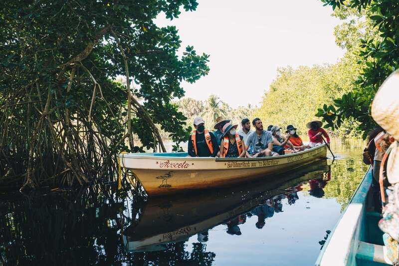 Puerto Escondido: Oaxaca Coast Wildlife Ecotour - Key highlights you will care about