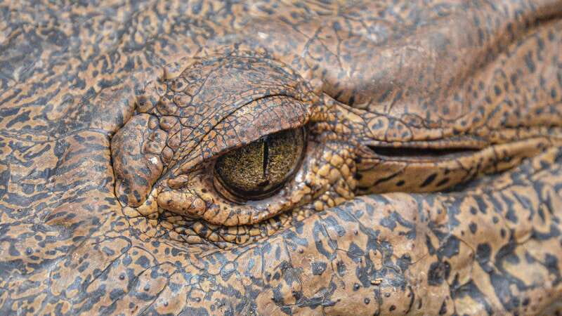 Puerto Escondido: Oaxaca Coast Wildlife Ecotour - Zipolite: short time, famous beach, make it count