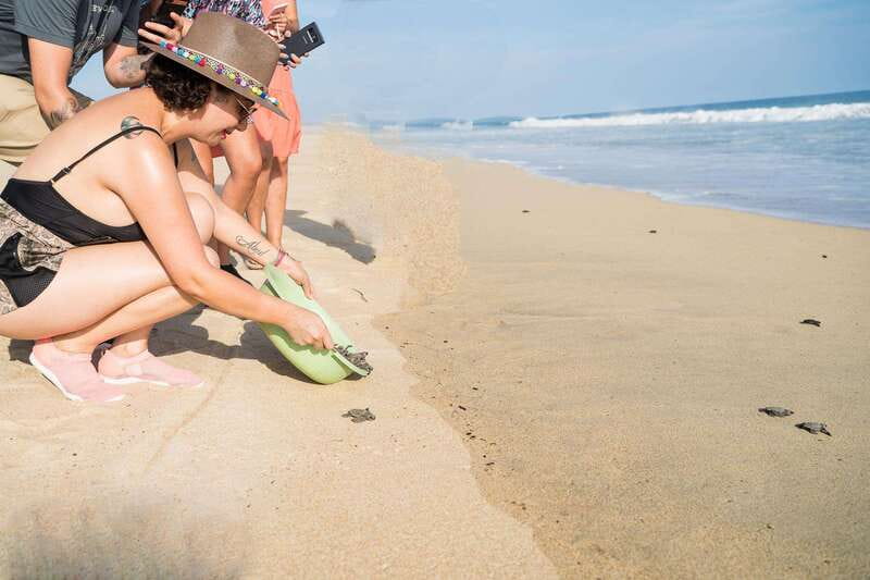 Puerto Escondido: Turtle Release Experience - What You Do on the Beach, From Coconut Shell to Open Water