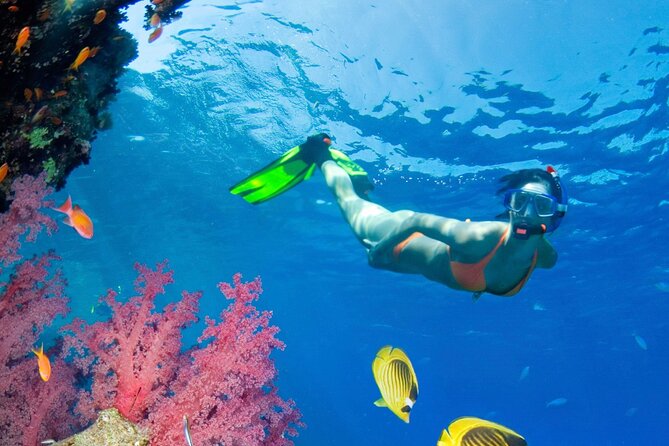 Puerto Morelos Catamaran Reef Sail and Snorkel - Boat Day Logistics: Marina La Bonita, Pickup, and a Smooth Start
