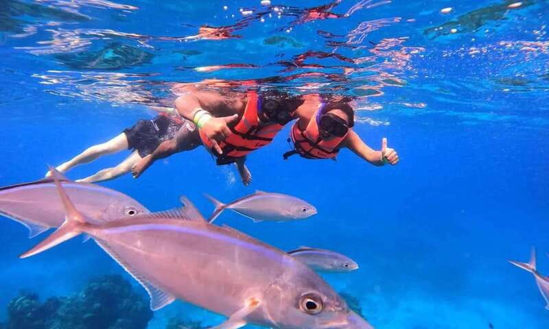 Puerto Morelos: Guided Snorkeling Tour with Gear & Fees - Key takeaways before you go