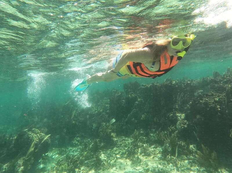 Puerto Morelos: Guided Snorkeling Tour with Gear & Fees - Two reef swims in 2 hours, what that really means