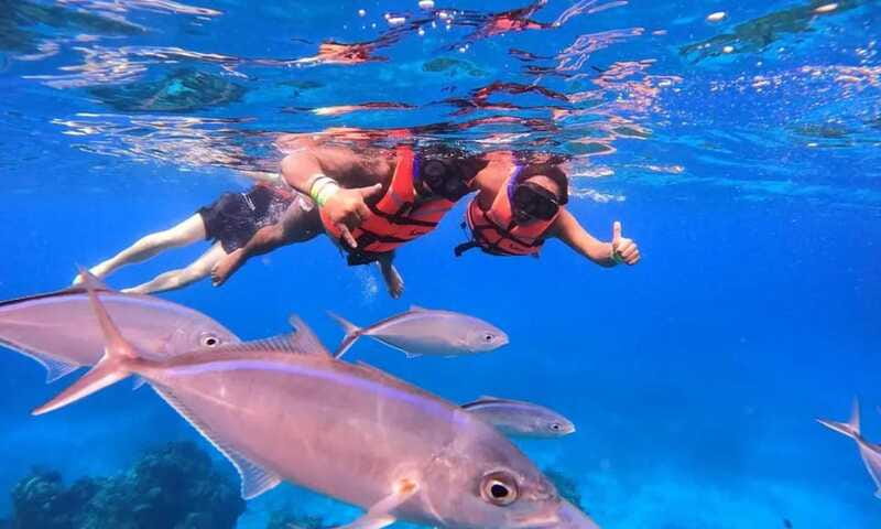 Puerto Morelos: Guided Snorkeling Tour with Gear & Fees - Who should book this snorkeling tour