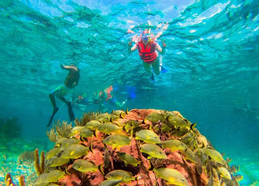 Puerto Morelos: National Reef Park Snorkeling & Beach Lunch - Price and Value, Plus the Extra Costs You Should Budget