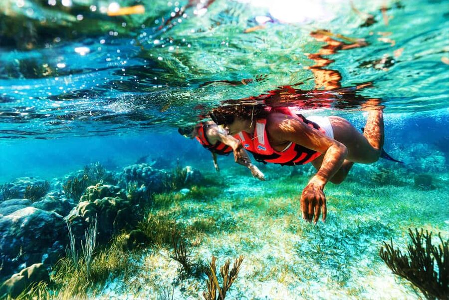 Puerto Morelos: National Reef Park Snorkeling & Beach Lunch - Who This Tour Is Best For (And Who Should Skip It)