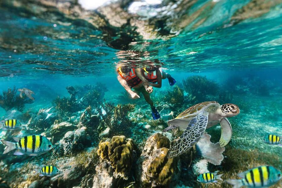 Puerto Morelos: National Reef Park Snorkeling & Beach Lunch - Hotel Pick-Up, Van Ride, and the Pace of Your 4 Hours