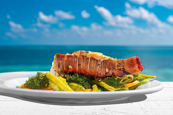 Puerto Morelos Reef Snorkeling Tour with Lunch & Hotel Pickup - Why Puerto Morelos Reef Feels Like a Real Step Up