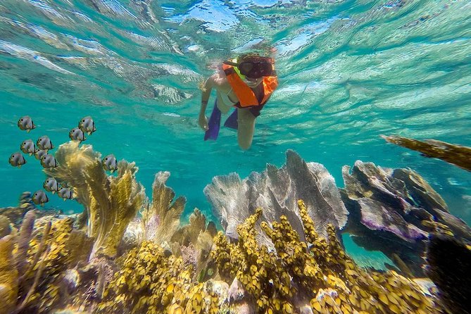 Puerto Morelos Reef Snorkeling Tour with Lunch & Hotel Pickup - Gear Tips That Make You Enjoy It More