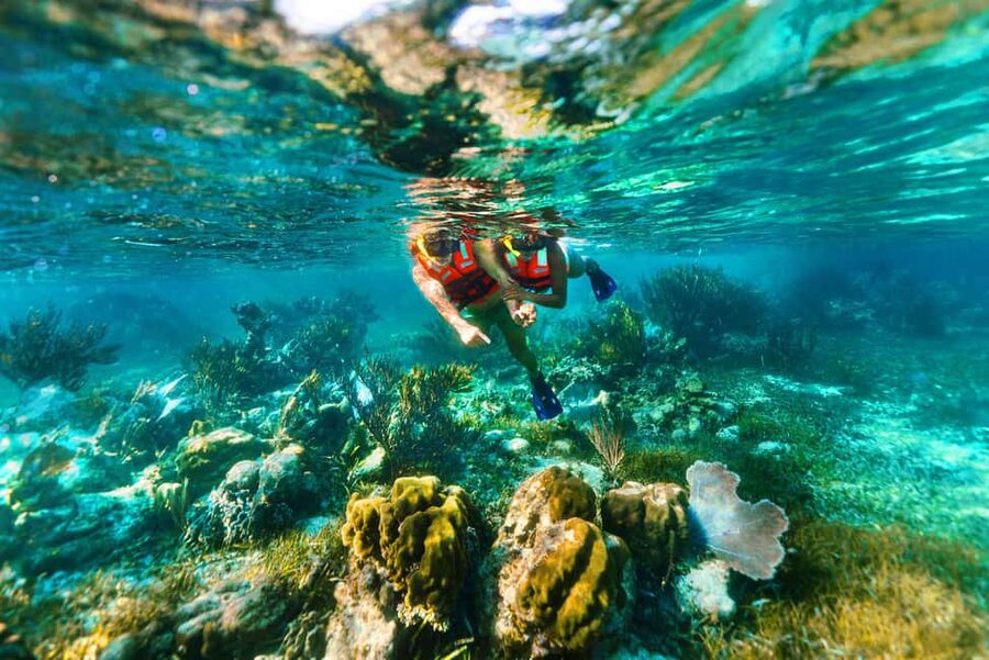 Puerto Morelos: Snorkel, Town Walk, Tequila & Beach Lunch - Tequila Tasting: A Fun Finish After the Reef