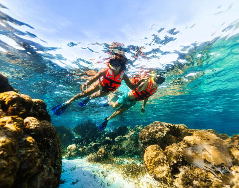 Puerto Morelos: Snorkel, Town Walk, Tequila & Beach Lunch - Practical Tips for a Smoother Snorkel Day