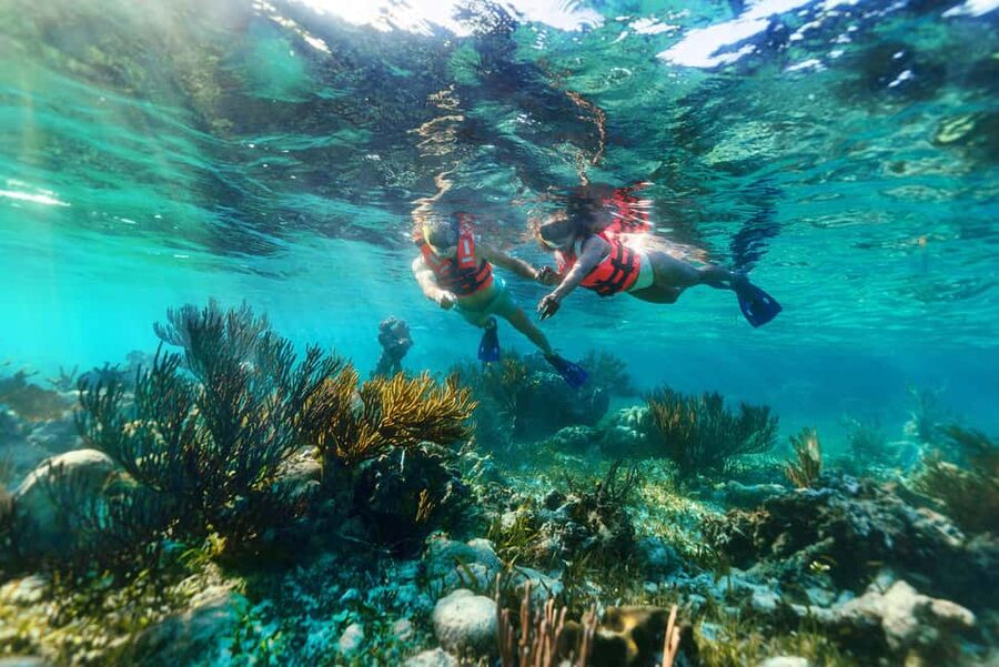 Puerto Morelos: Snorkel, Town Walk, Tequila & Beach Lunch - Should You Book This Puerto Morelos Snorkel, Town Walk, Tequila, Beach Lunch?