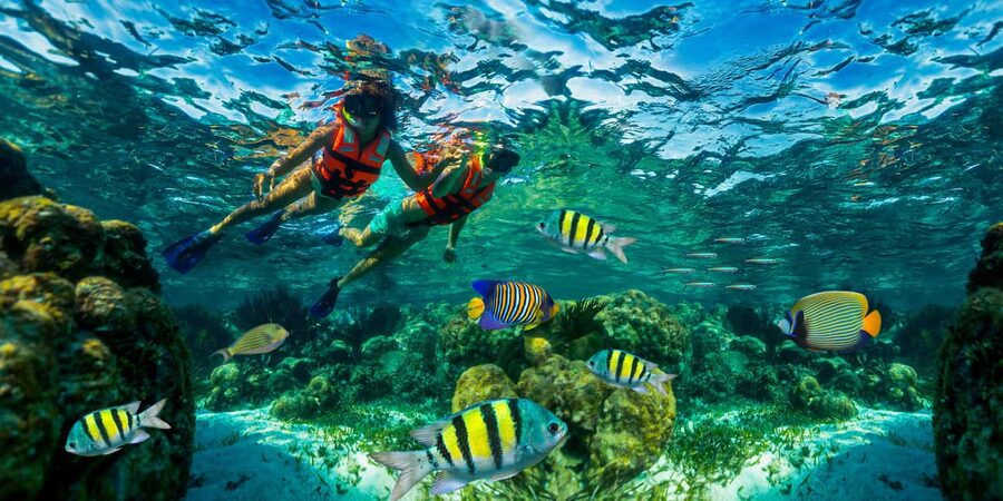 Puerto Morelos: Snorkel, Town Walk, Tequila & Beach Lunch - 80 Minutes at the Great Mayan Reef: What You Actually Do in the Water