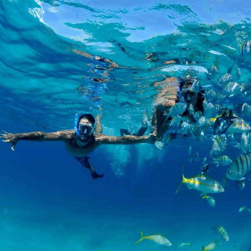 Puerto Morelos: Snorkeling at The National Reef Park - Quick take: what makes this Puerto Morelos reef snorkel work