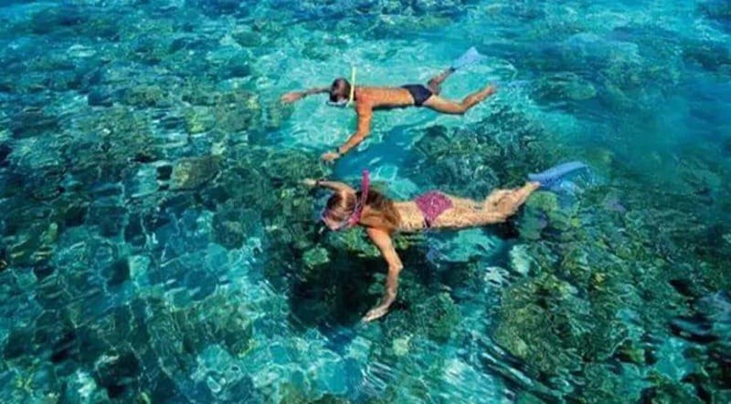 Puerto Morelos: Snorkeling at The National Reef Park - The 2-hour plan: walking out, then two reef spots