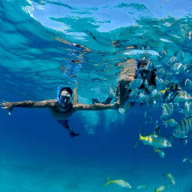 Puerto Morelos: Snorkeling at The National Reef Park - Safety and guide support, the kind you feel within minutes