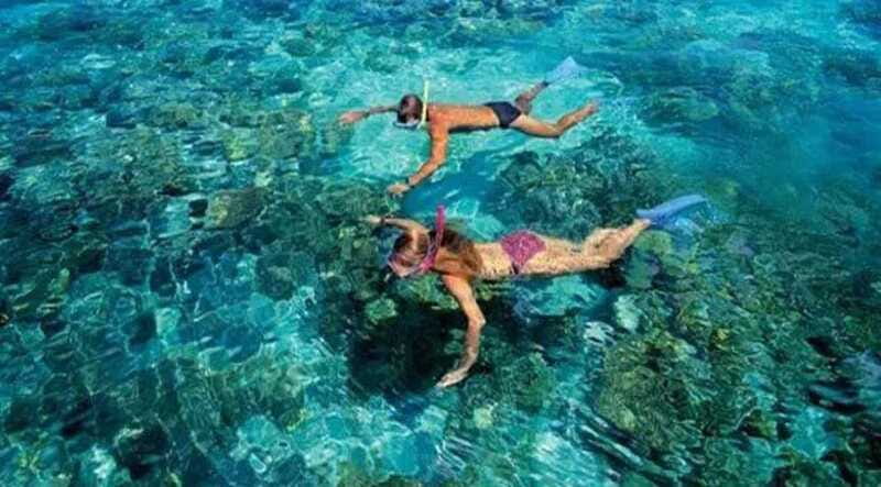 Puerto Morelos: Snorkeling at The National Reef Park - Price and value: what $37 buys you in real terms