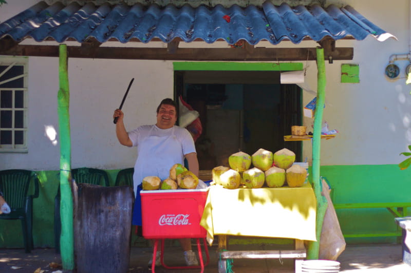 Puerto Vallarta 3-Hour Food Tour of Authentic Local Cuisine - Why this 3-hour food tour beats eating on autopilot