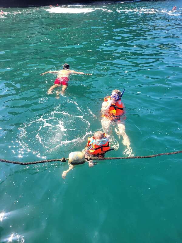 Puerto Vallarta: 3-Hour Whale Watching and Snorkeling - Key things to know before you go