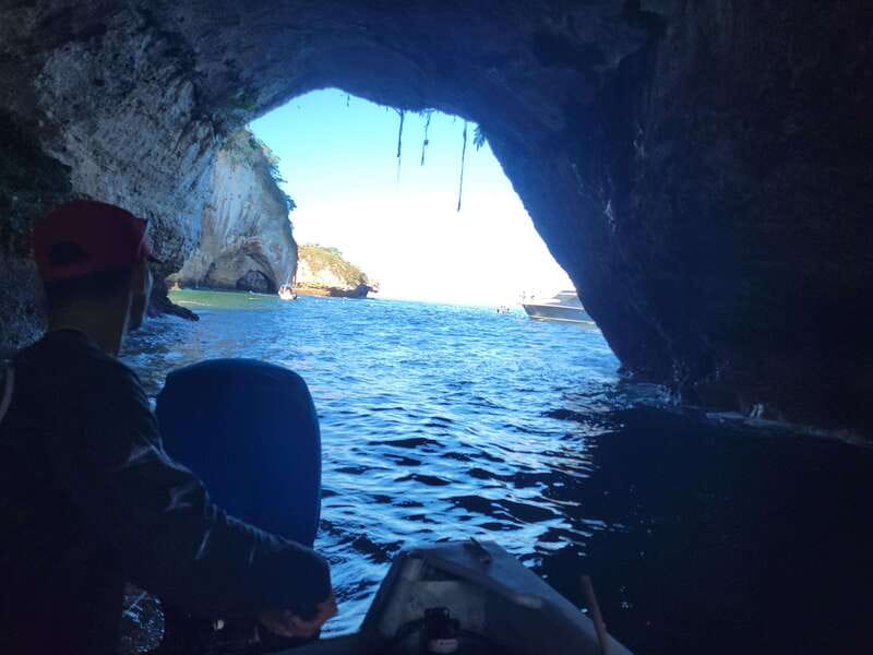 Puerto Vallarta: 3-Hour Whale Watching and Snorkeling - Beach Stops Like Las Animas, Plus Garden Time and Local Flavors