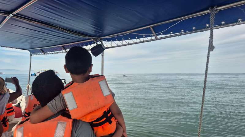 Puerto Vallarta: 3-Hour Whale Watching and Snorkeling - Comfort Notes: Wheelchair Access, Back Problems, and Getting On Board