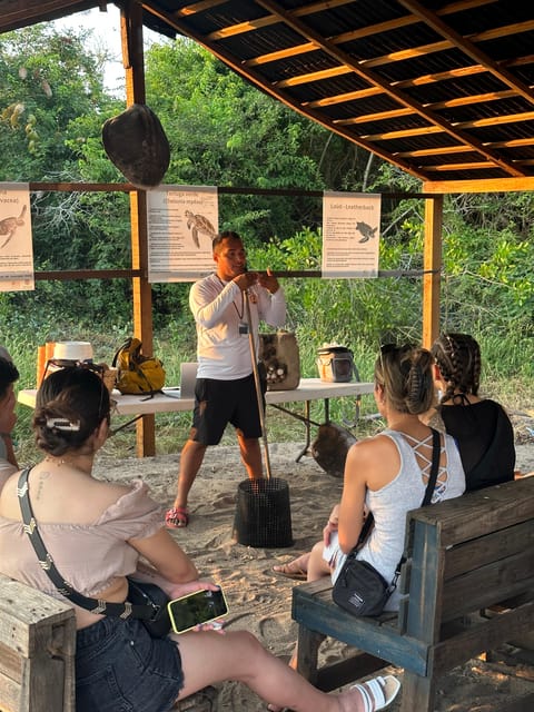 Puerto Vallarta: Baby Turtle Release in Conservation Area - Photos and what you might want to plan for