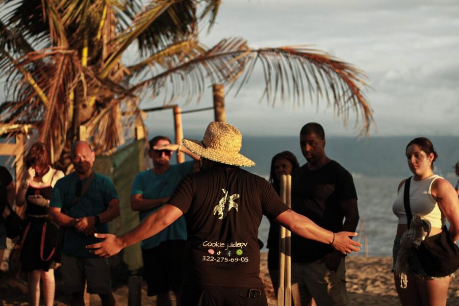 Puerto Vallarta: Baby Turtle Release in Conservation Area - Where you meet, and how to get to the right starting beach area