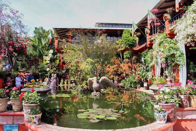 Puerto Vallarta: Botanical Gardens, Distillery & Coffee Tour - Key highlights I’d prioritize