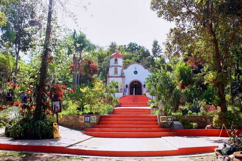 Puerto Vallarta: Botanical Gardens, Distillery & Coffee Tour - Price and value: $89 for a full guided taste of Puerto Vallarta beyond the beach